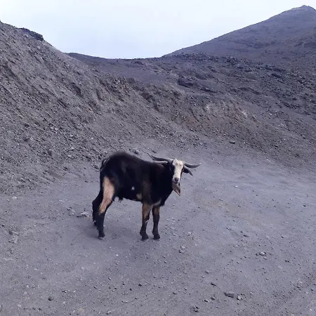 El Saladar Jandia * Morro Jable (Fuerteventura)